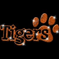 GLT17 ORANGE GLITTER Thumbnail